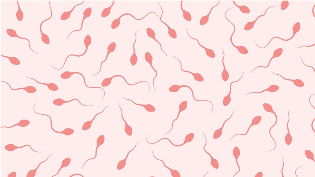 What male fertility supplements improve sperm motility?