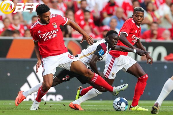 Nhận định Midtjylland vs Benfica - Vòng loại C1