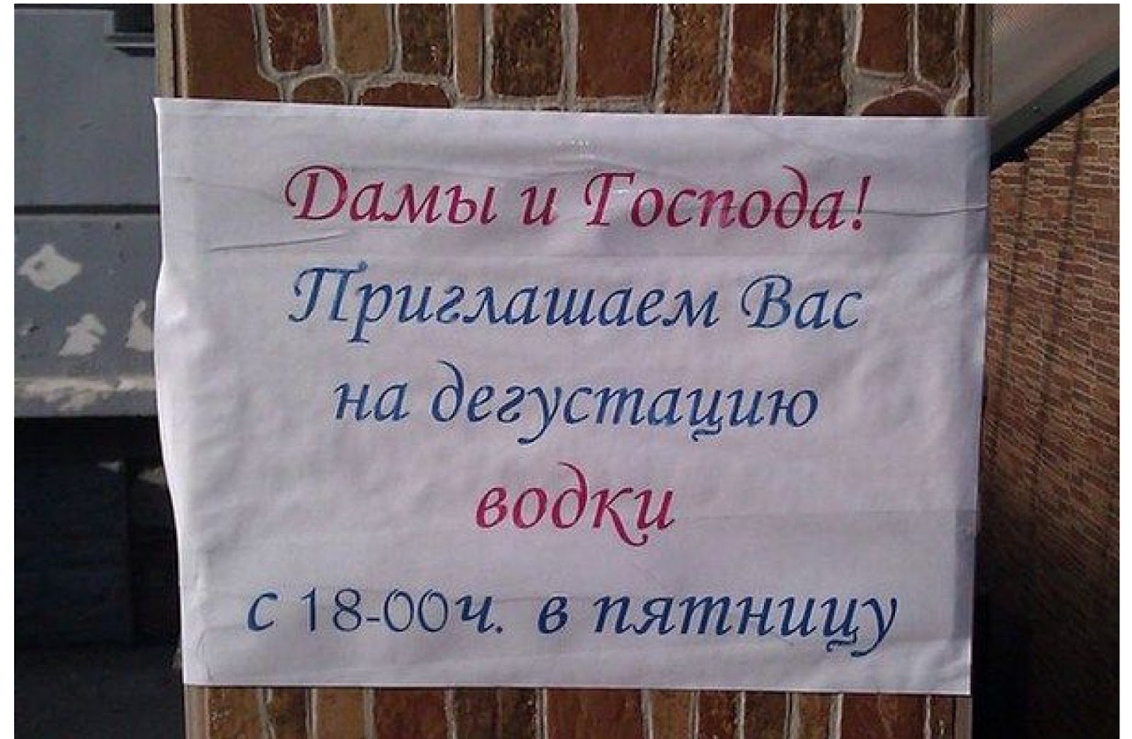 Смешное приглашение на пьянку
