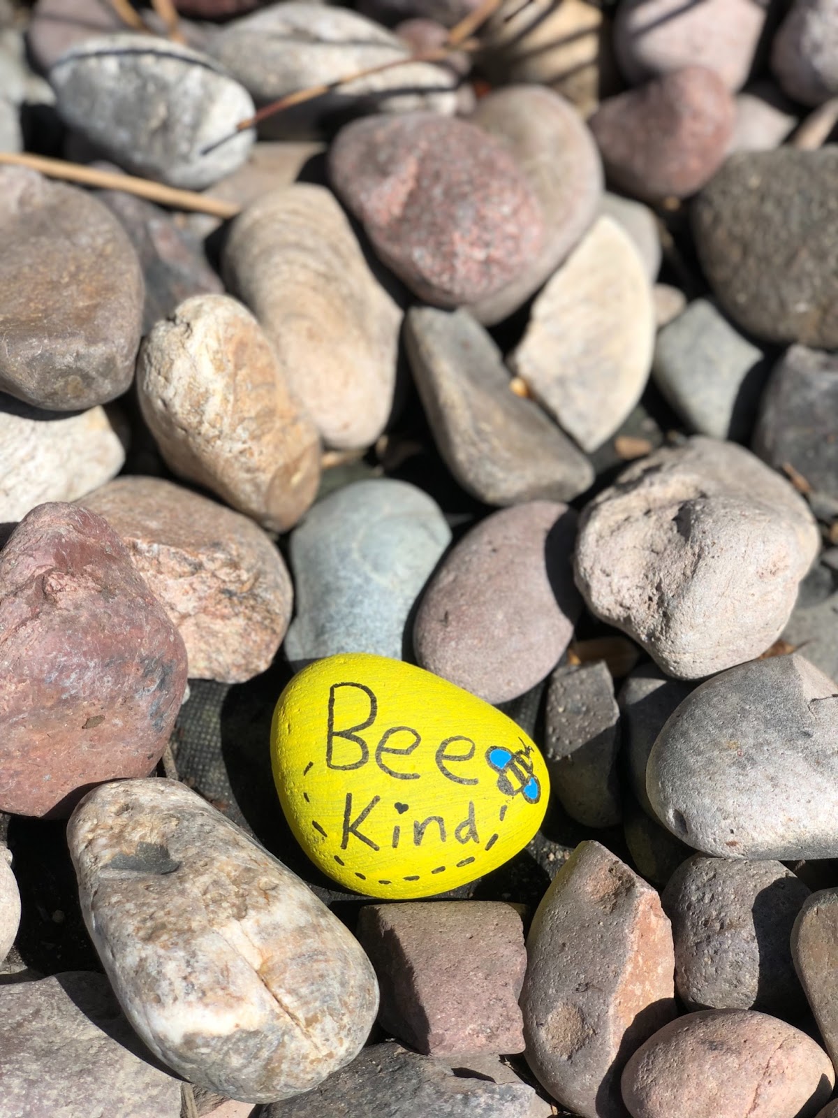 Painted rock that says bee kind