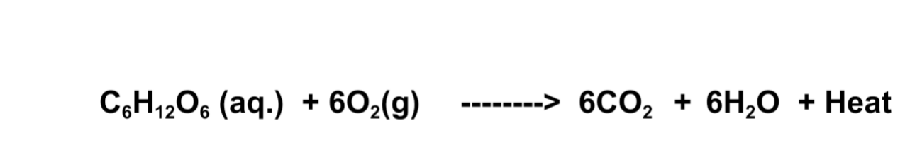 NCERT Solutions for Class 10 Science Chapter 1 Chemical reactions and equations