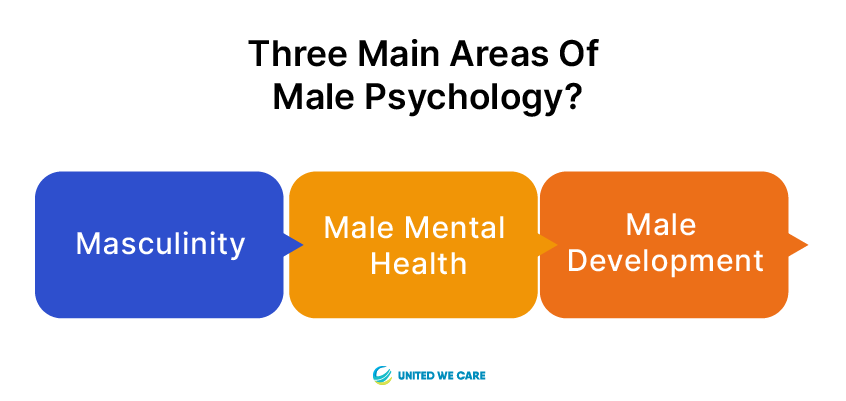 What Are The Three Main Areas of Male Psychology?