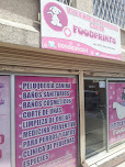 Veterinaria Foodprints - Veterinario