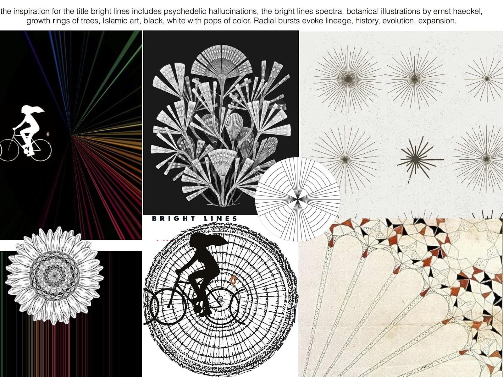 Tanwi:Users:tanwinandini:Desktop:Hi Wildflower:Bright Lines Inspiration and Artwork:BrightLines_InspirationImages.jpg