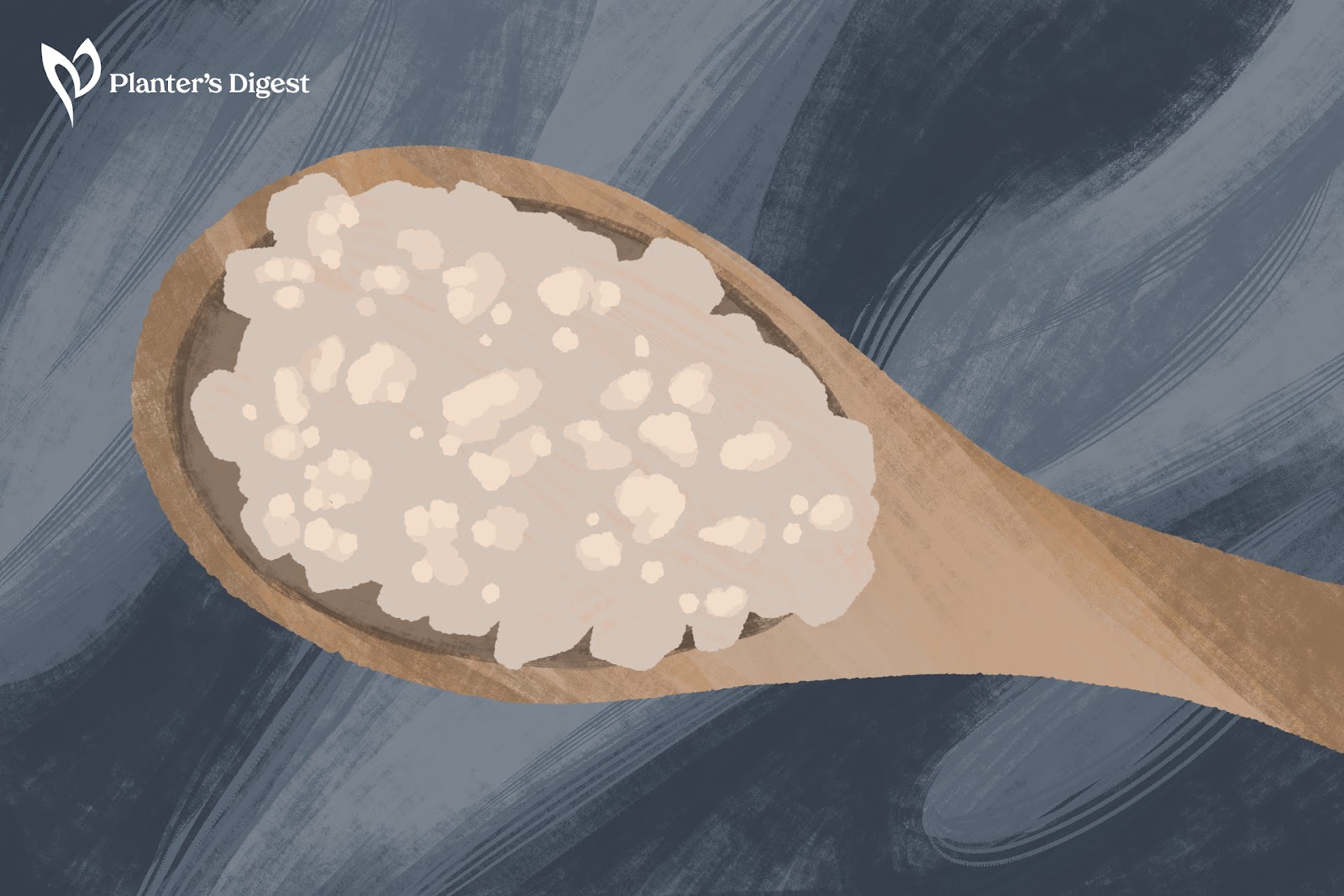  Inducing Salt Stress