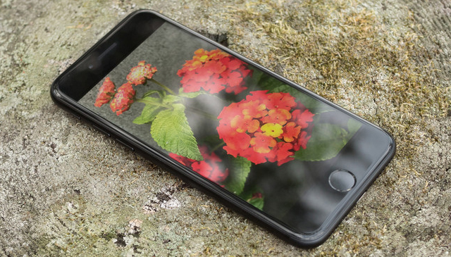 Thay Camera Sau iPhone 7/7Plus Lấy Ngay