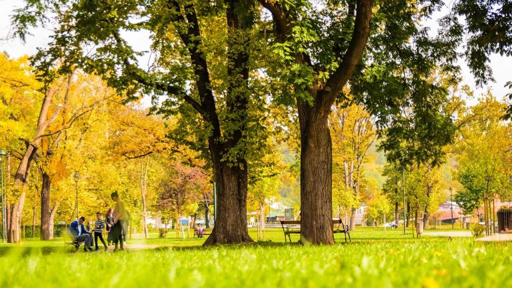 Los municipios de la red La ciudad de los niños cuentan con más parques y espacios verdes.