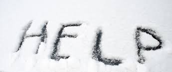 Image result for surviving in the snow