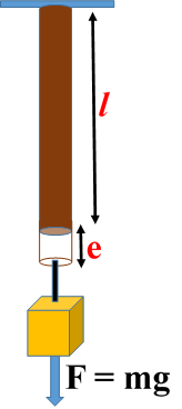 Elasticity Numericals Class 11 Physics