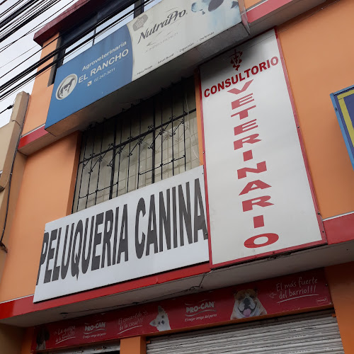 Opiniones de Consultorio Veterinario en Quito - Veterinario