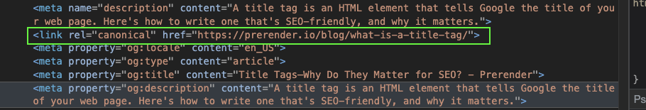Example of canonical tags in the code