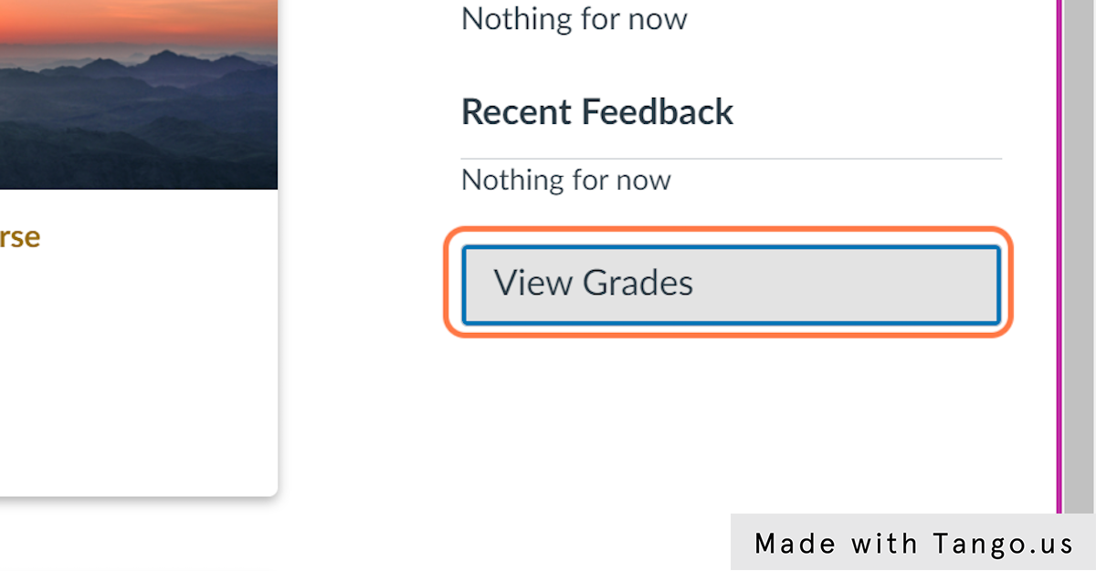 Option 2:  Click on View Grades 