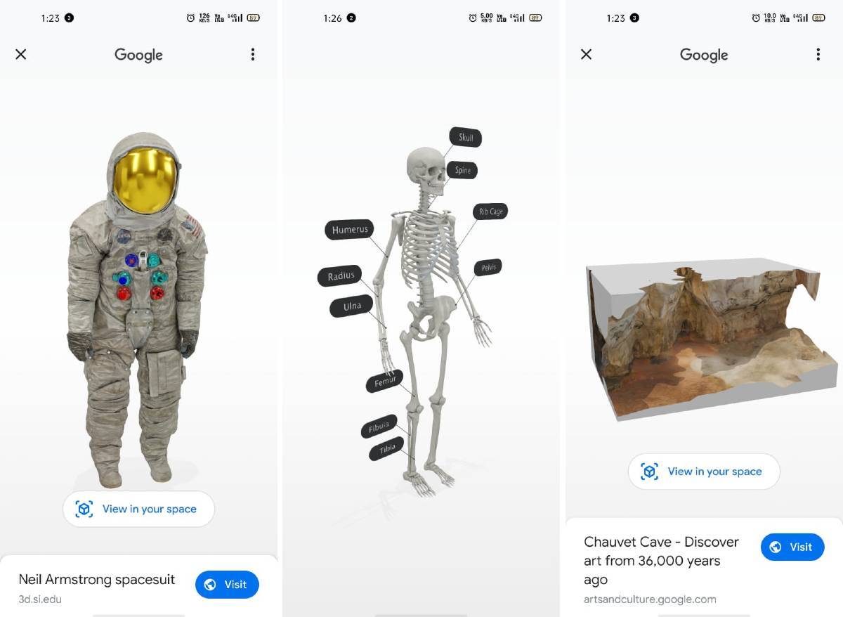 Google 3D animals: List of animals, other objects in AR, how to watch