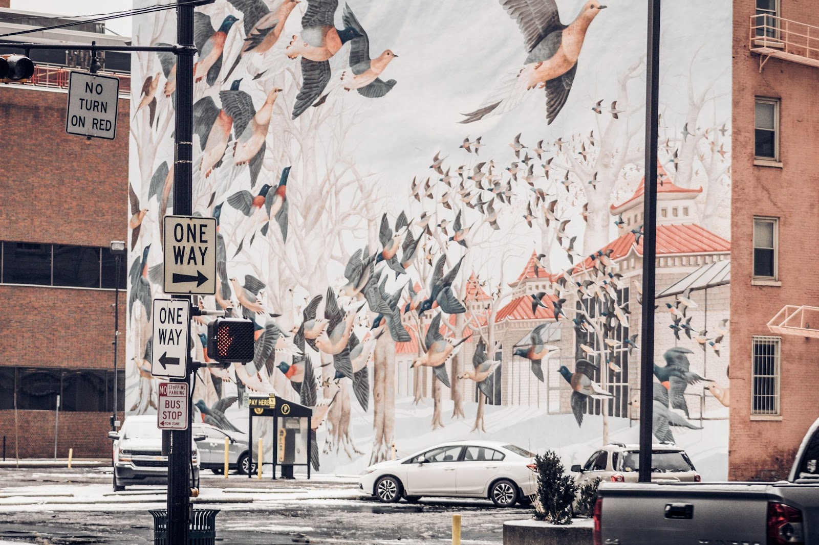 Mural in Cincinnati, Ohio Photo by Sean Foster on Unsplash

