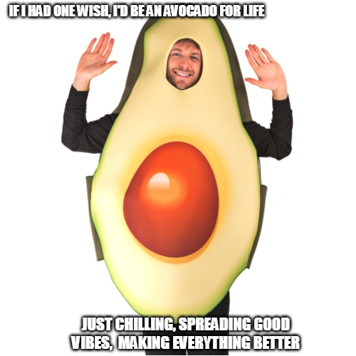Cute Avocado Captions for Instagram