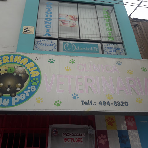 Clínica Veterinaria Bandy Pet's - San Martín de Porres