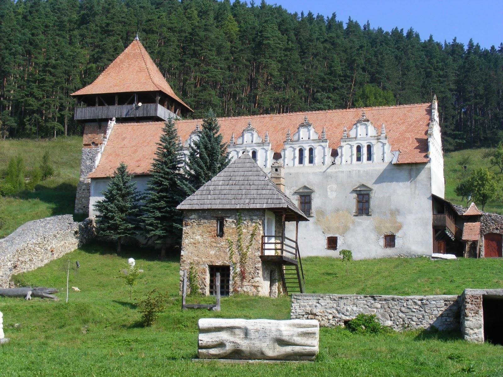 http://www.turistintransilvania.com/wp-content/uploads/2012/11/castelul-lazar.jpg