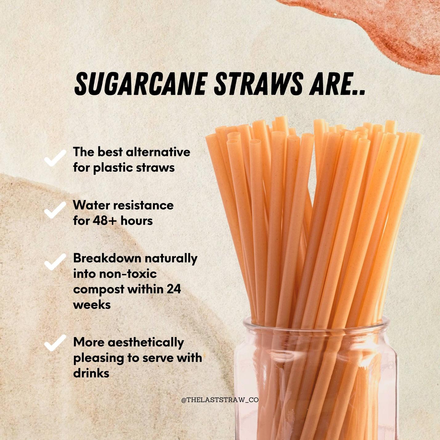 Compostable Drinking Straw Sugarcane - Etsy