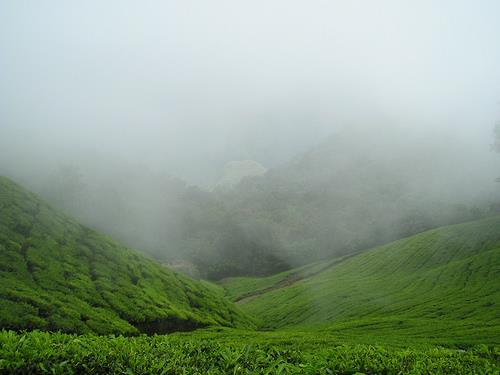 Best Places to Experience Rainfall in India