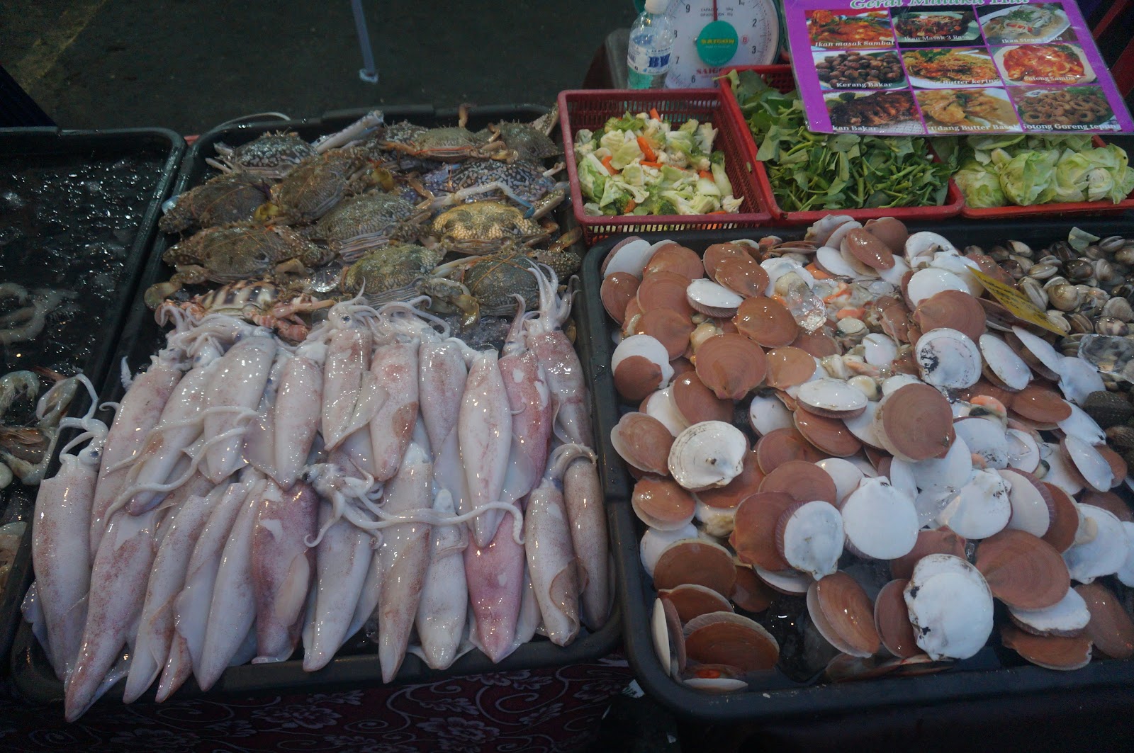 DSC08453.JPG