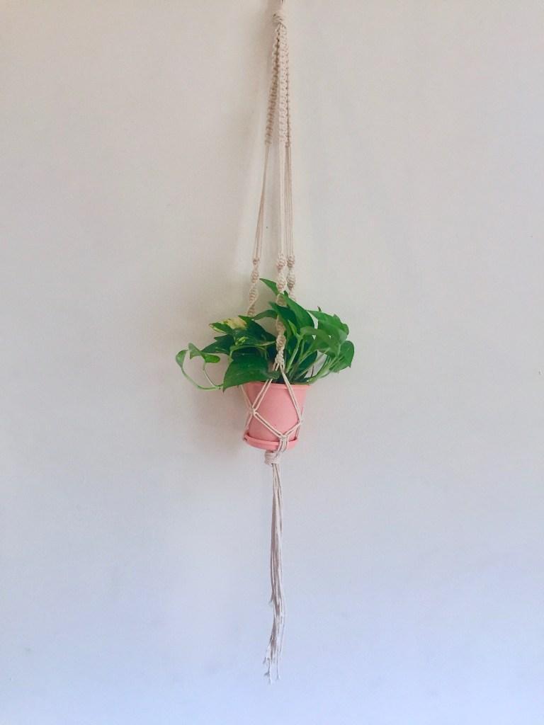 DIY Macrame Pot Hanger