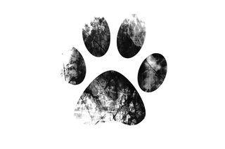 mage result for dog paw print