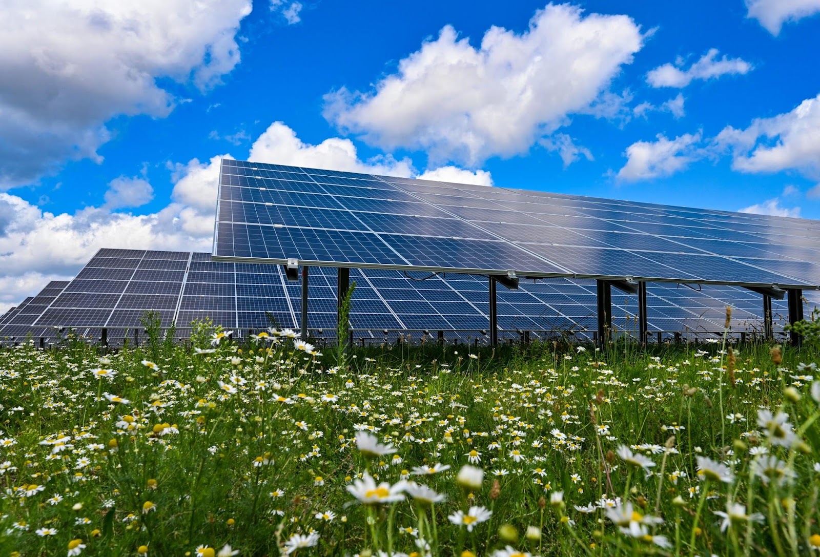 The Future of Energy: Solar Power