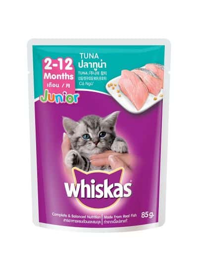 Best Cat Food Kitten Recommendations Whiskas Junior