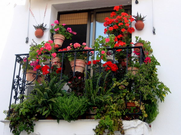 открытый балкон украшение цветами
