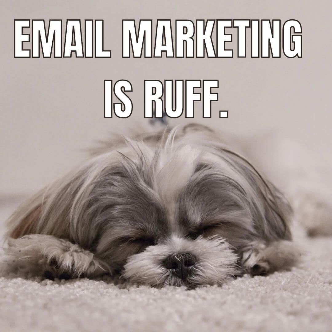 email marketing is ruff, email marketing memes 