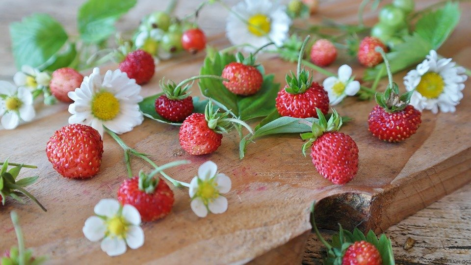 Strawberries, Wild Strawberries, Daisy, Still Life