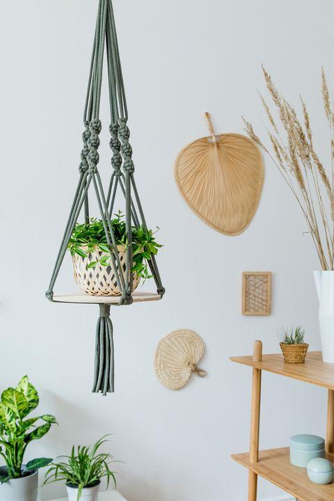 Stylish and minimalistic boho interior of living room with wooden furnitures, gray macrame, rattan and elegant accessories. Botany home decor with a lot of plants. Bright and sunny space. Template.