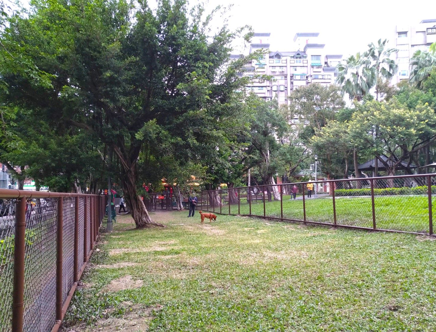 玉成公園狗活動區是台北市第七處狗狗專屬運動公園