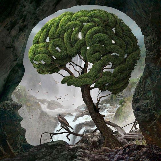 brain tree / arbol cerebro