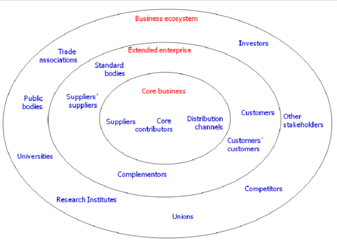 business ecosystem
