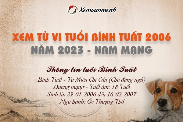 Xem tử vi tuổi Bính Tuất 2006 nam mạng năm 2023 