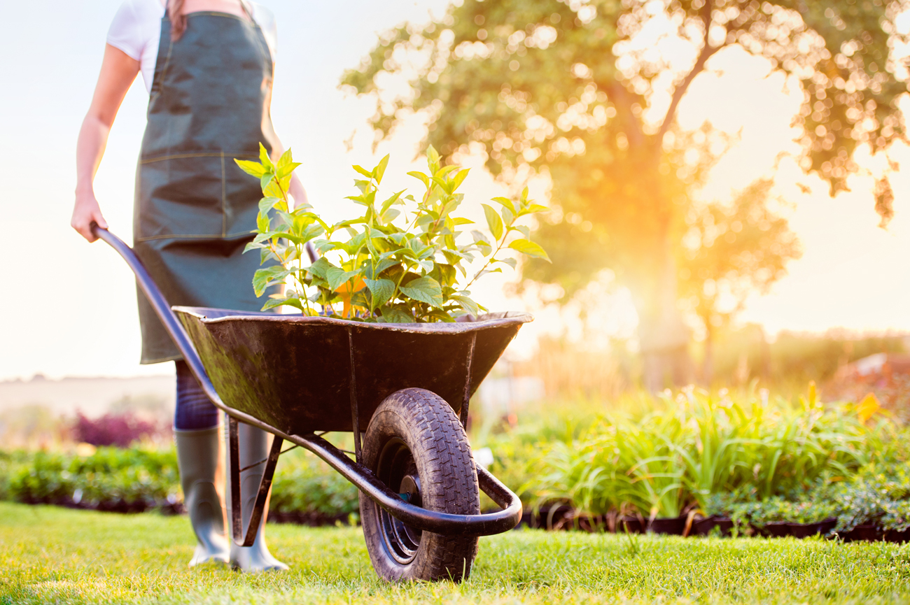 yard prep Nest Realty