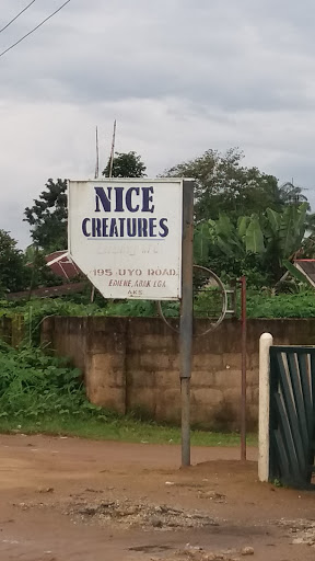 Nice Creatures, 195, Old Uyo Road Ediene, Abak, Nigeria, Pub, state Akwa Ibom