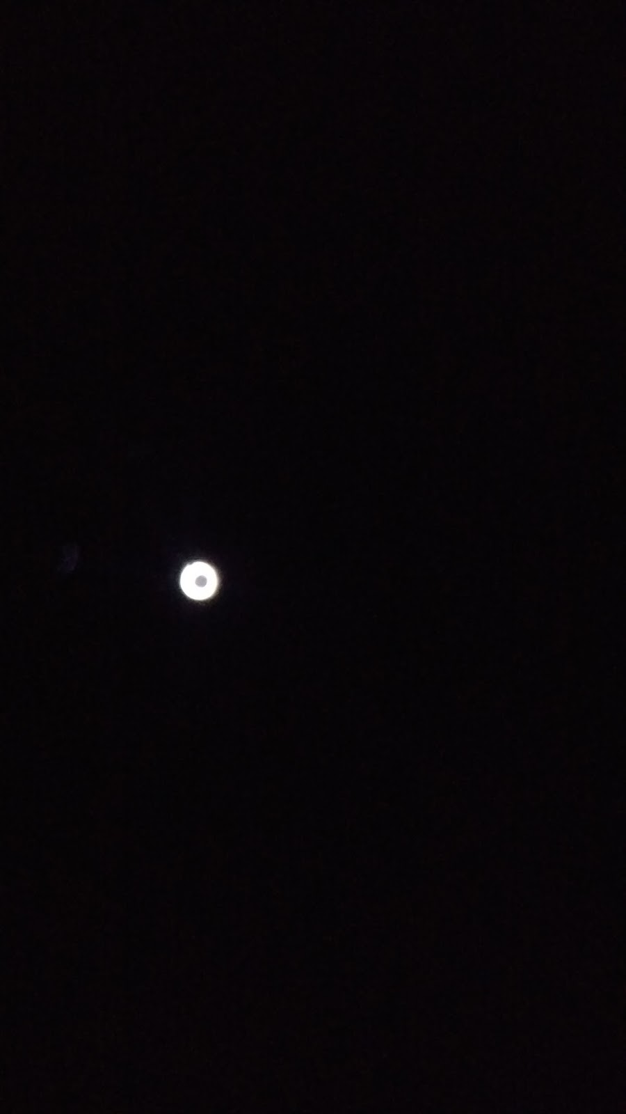 IMAG0491.jpg