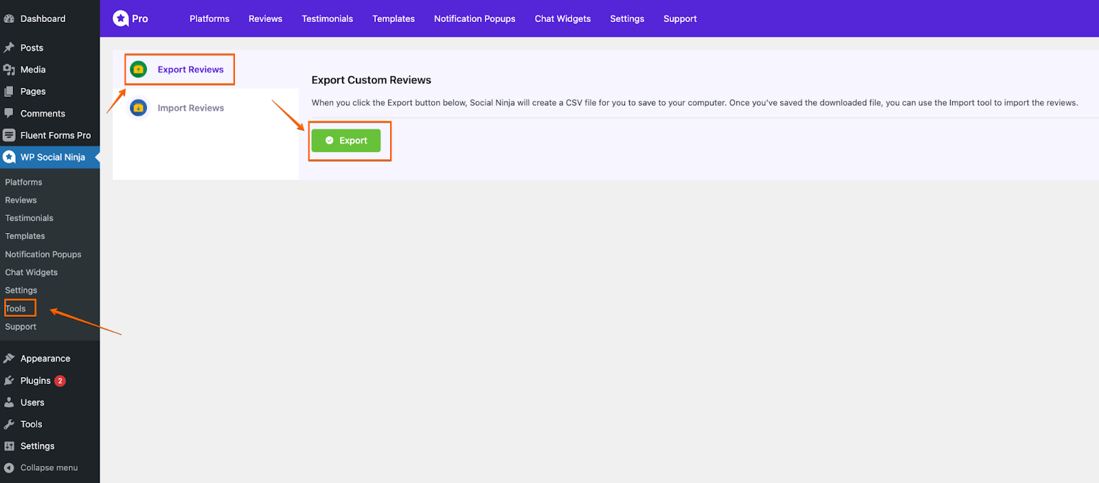 WP social Ninja 3.6.0:Export Import custom review process