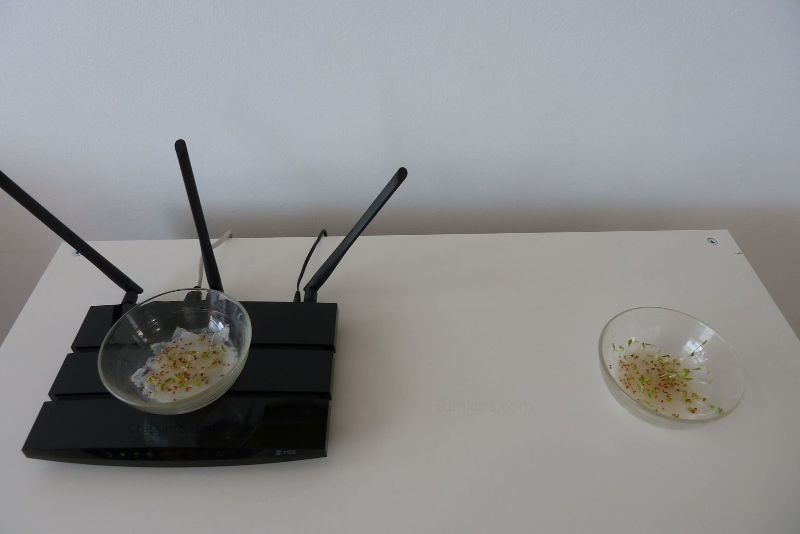 Wifi experiment on cress growth - Cressinfo.com