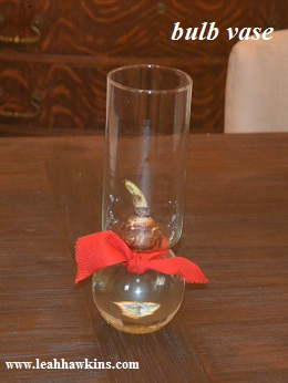 bulb vase small.jpg