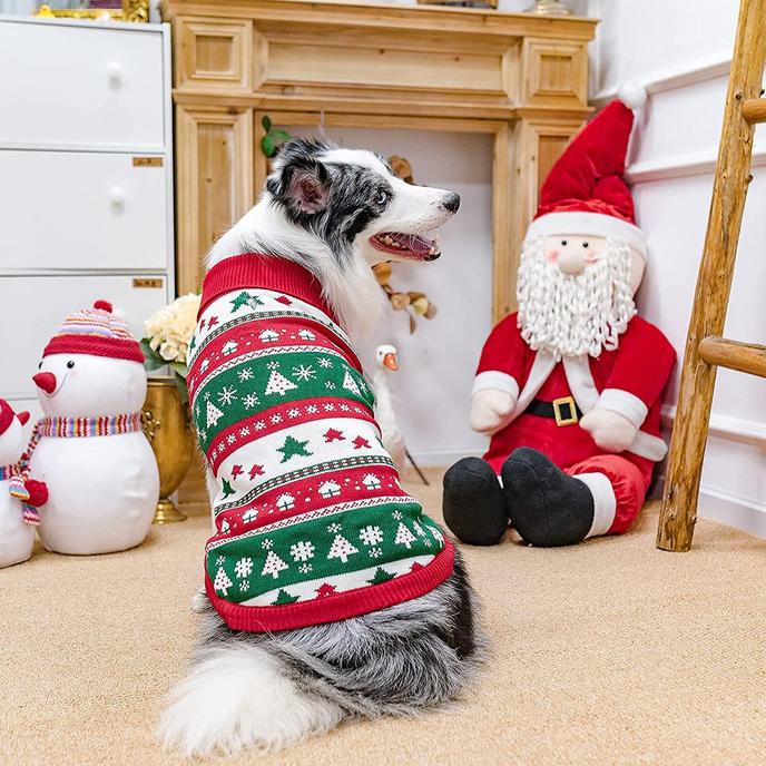 Dog poses in festive Pupteck Christmas Dog Sweater.