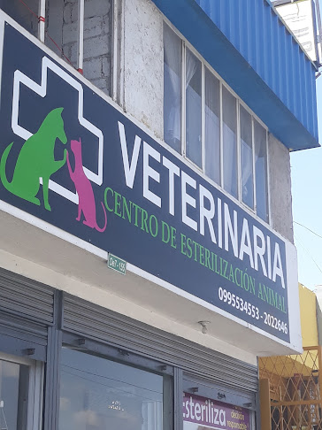 Clínica Veterinaria "Cea" Centro de Esterilización Animal