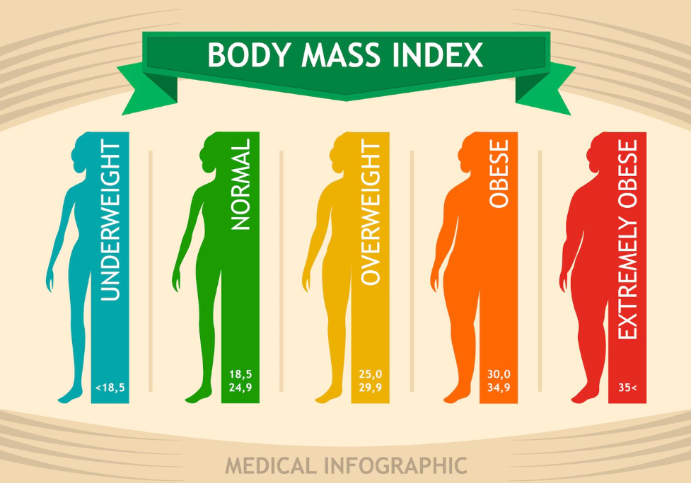Chỉ số BMI xác định tình trạng cân nặng cơ thể