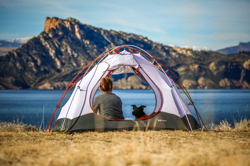 A woman and a dog inside a tent near a body of water