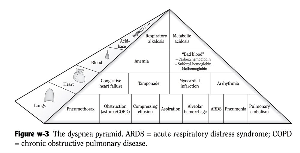 Image result for dyspnea pyramid