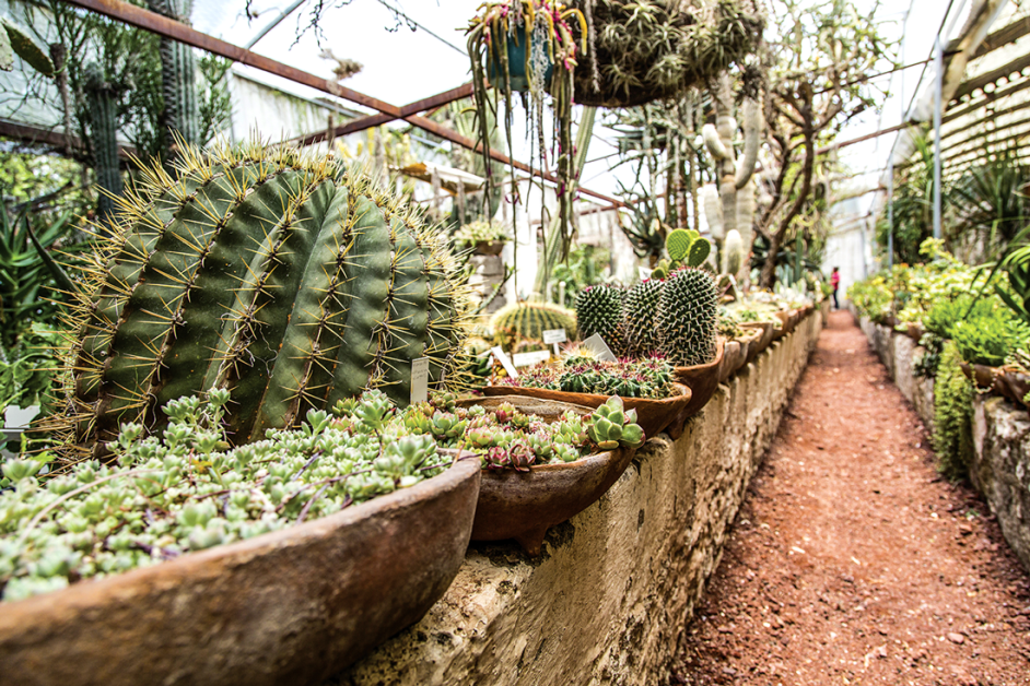 https://mexicodesconocidoviajes.mx/wp-content/uploads/2019/09/jardin-botanico-quinta-fernando-shmoll-invernadero-cadereyta-queretaro.png