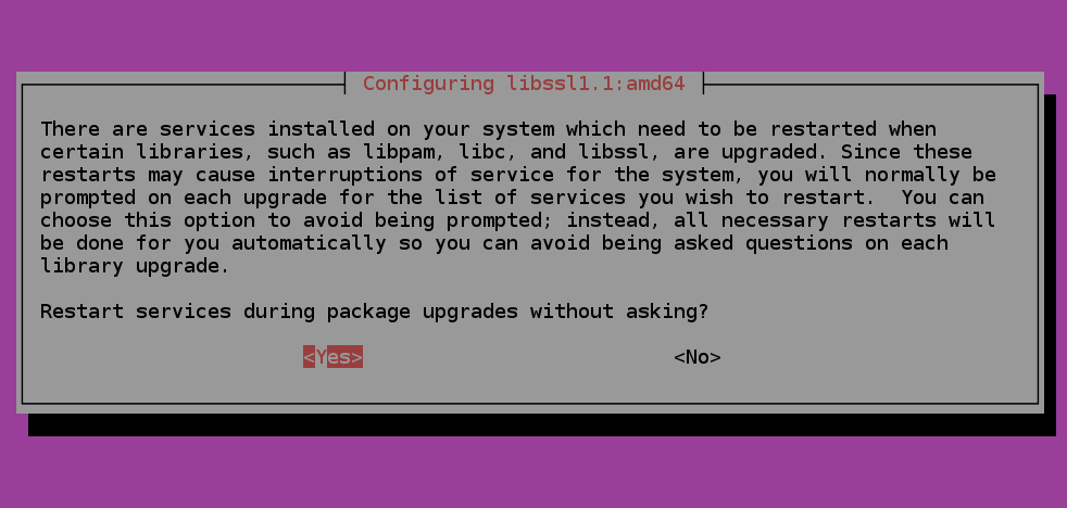 apt-get will inform you that some services will need to be restarted during package upgrade. Select Yes. 