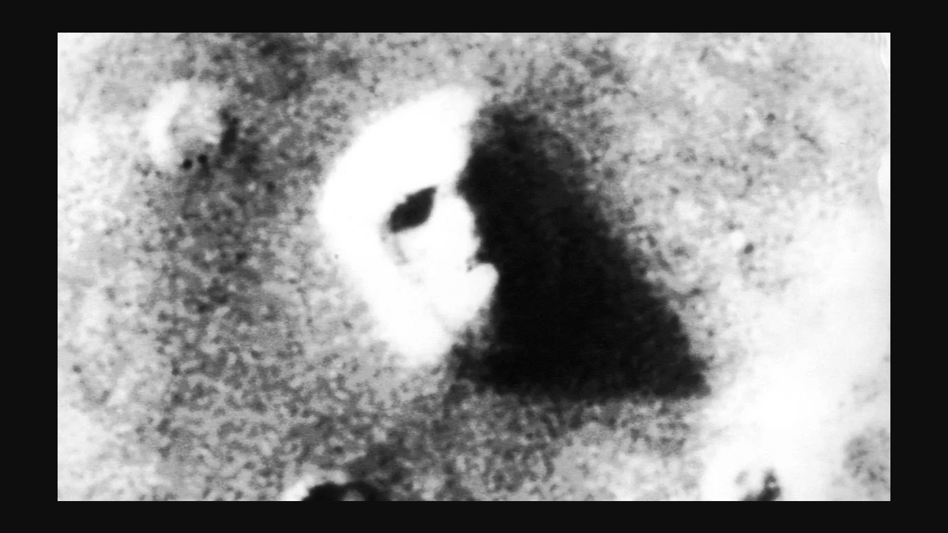 «Лицо» Марса, пример обмана мозга